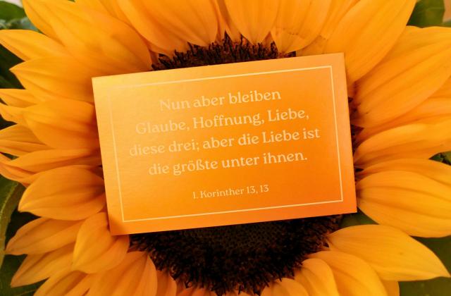 Hoffnung und Begegnung